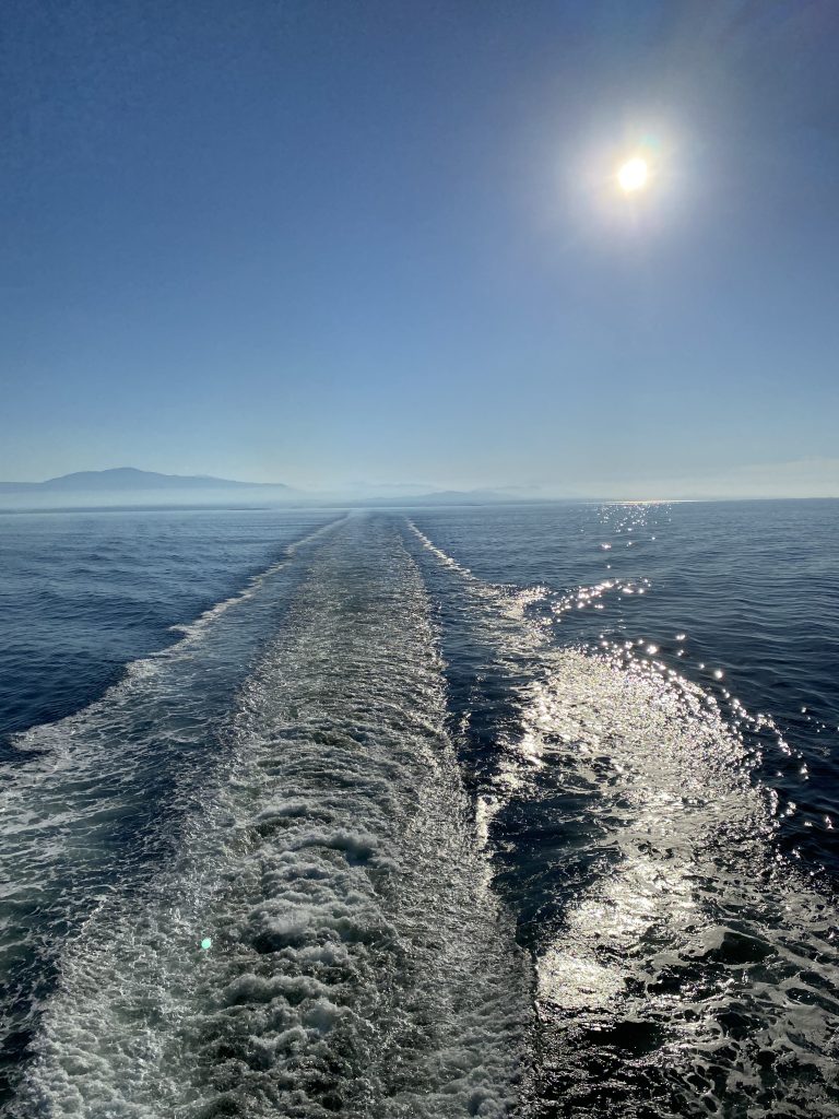 The wake of a ferry boat with mountains in the background.
