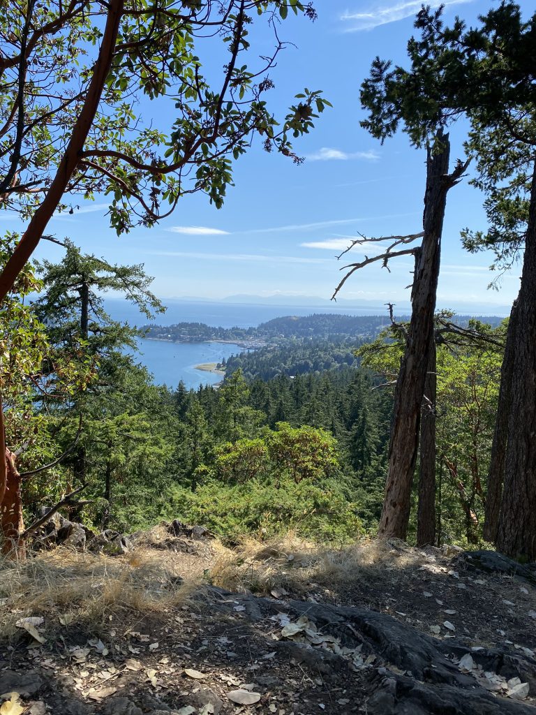 View of sea, trees, and hills from Soames Hill, Gibsons, B.C.