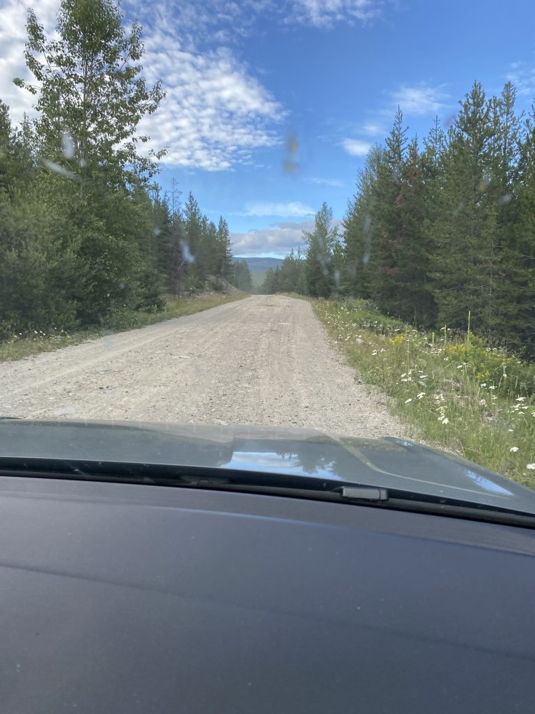 Gravel road lined by trees from front window of car