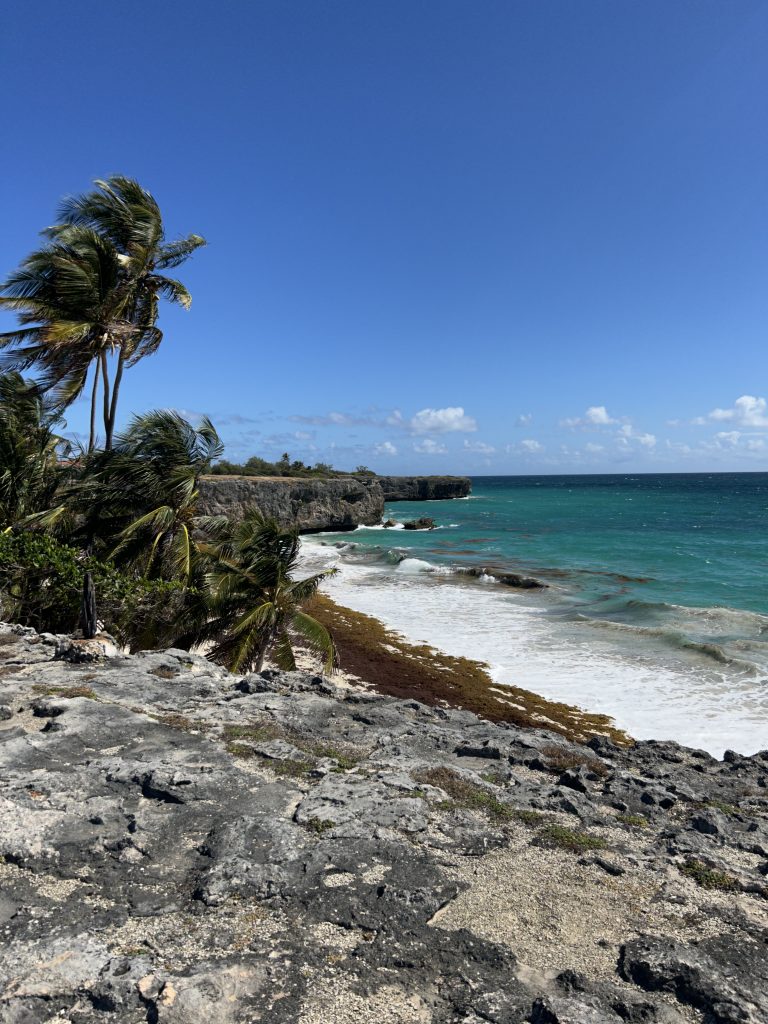 Bottom Bay Beach