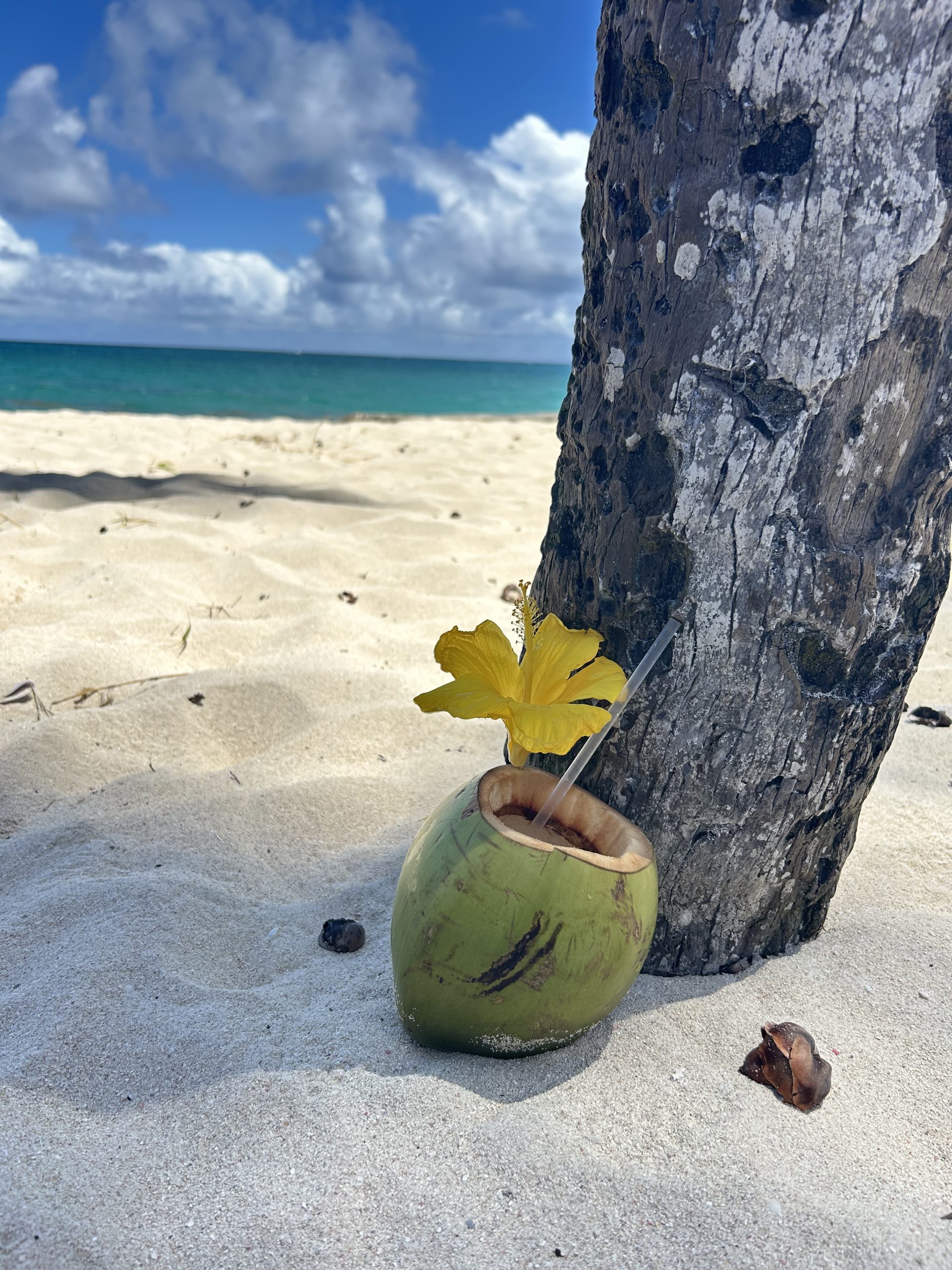 Rum, Ruggedness, & Rich History: Why Barbados Is Our Fav Caribbean Paradise