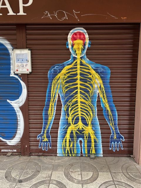 nerves and skeleton painted on roller shade